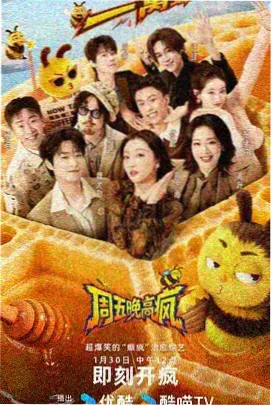 综艺星野合唱团海报与铜棕画框